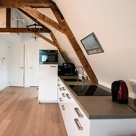 Cozy Lofts Haarlem