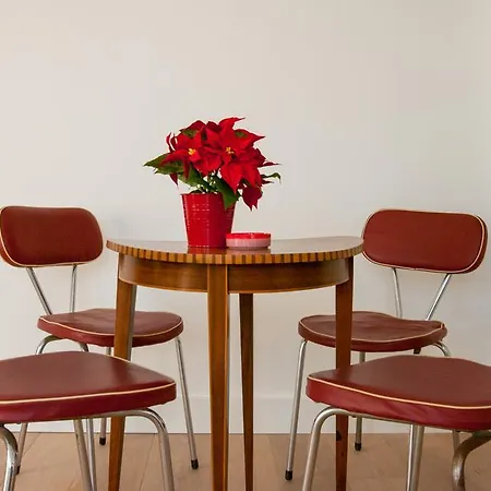 Cozy Lofts Appartement Haarlem