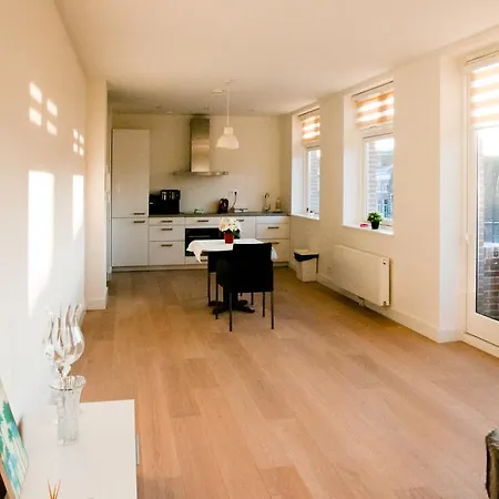 Cozy Lofts