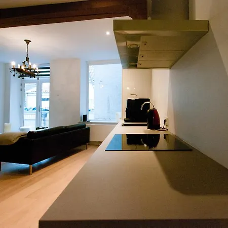 Appartement Cozy Lofts *