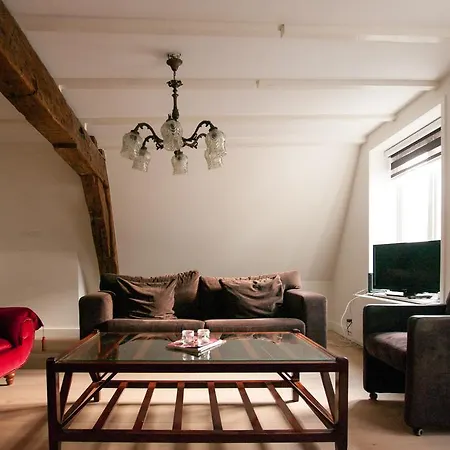 Cozy Lofts Appartement Haarlem