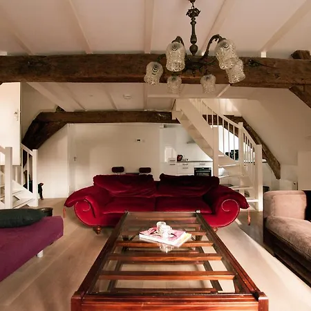 Appartement Cozy Lofts *