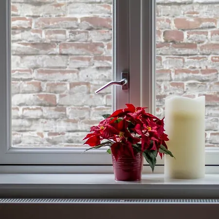 Cozy Lofts Appartement *
