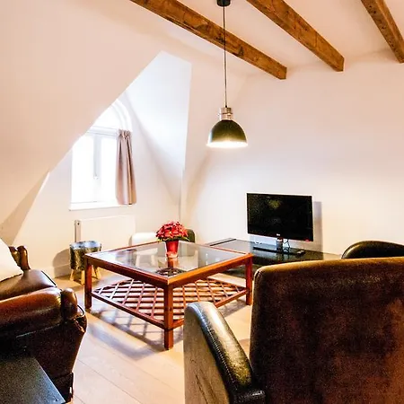Cozy Lofts